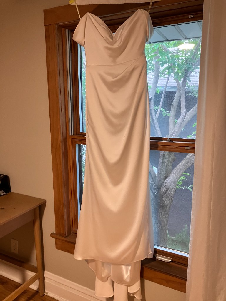 Jenny Yoo Viviana Size 6 Wedding Dress — image 8 of 8